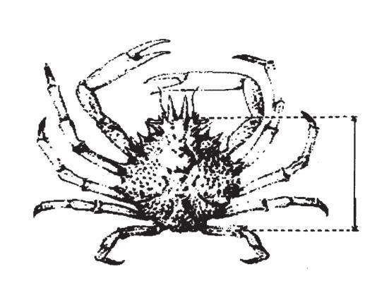 191 Παράρτημα IV εικόνα 5 α (νέα) Εικόνα 5α