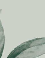 00 Boiled mountain greens with olive oil Άγρια χόρτα του βουνού βραστά με Ελαιόλαδο Отварная горная зелень с лимонно-оливковым соусом Traditional