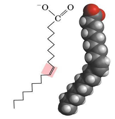 Μονοακόρεστα λιπαρά οξέα Ο διπλός δεσμός (σκιασμένο τμήμα) προκαλεί ακαμψία στην ανθρακική αλυσίδα, δυσχεραίνοντας το πακετάρισμα των υδρογονανθρακικών