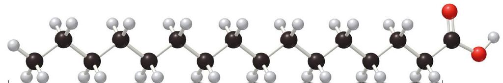 Δομή CH 3 (CH 2 ) 14 COOH (palmitic acid) Πολική ομάδα = υδρόφιλη Μη πολική ομάδα = υδρόφοβη Η μη πολική ομάδα