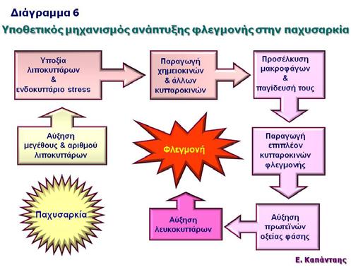 ΣΤΗΝ ΠΑΧΥΣΑΡΚΙΑ 4 Επομένως η παχυσαρκία και η έλλειψη σωματικής δραστηριότητας, οδηγούν σε χρόνια φλεγμονή, όπως συνοπτικά απεικονίζεται στο Διάγραμμα 6, η οποία βάρος.