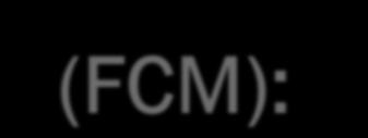 Ferric Carboxymaltose (FCM): Βασικά χαρακτηριστικά Σταθερό σύμπλοκο που επιτρέπει την ελεγχόμενη αποδέσμευση του σιδήρου στα όργανα στόχους Ταχεία και απλή IV χορήγηση 1g σιδήρου σε μόλις 15 λεπτά