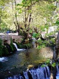 ΠΑΝΕΠΙΣΤΗΜΙΟ ΔΥΤΙΚΗΣ ΜΑΚΕΔΟΝΙΑΣ ΤΜΗΜΑ