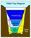 ΓΕΝΙΚΟΤΕΡΑ ΓΙΑ ΤΙΣ ΠΑΓΙ ΕΣ ΠΑΡΕΜΒΟΛΗΣ (PITFALL TRAPS) Οι παγίδες παρεµβολής πλεονεκτούν στο ότι είναι φτηνές γιατί αποτελούνται από πολύ φτηνά υλικά, όπως πλαστικό ποτήρι και αιθυλενογλυκόλη.