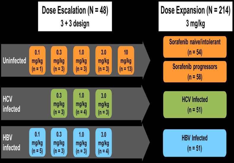 CheckMate 040: Phase Ι/ΙΙ Study Nivolumab σε ασθενείς με