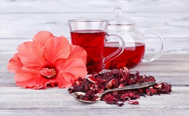 ΙΒΙΣΚΟΣ (Hibiscus sabdariffa) Έχει