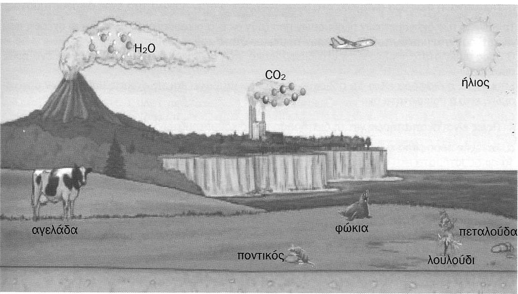 Β2. Η παρακάτω εικόνα δείχνει ένα οικοσύστημα. 1. Να αναφέρετε δύο βιοτικούς και δύο αβιοτικούς παράγοντες. Moνάδες 2 2.