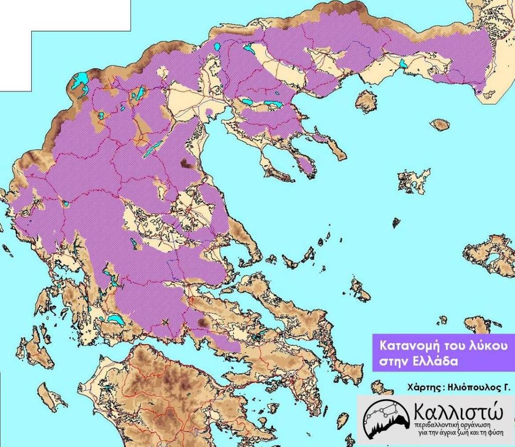 Η κατανομή του λύκου στην Ελλάδα (δεδομένα έως και 2006). Αντιστοιχεί στις περιοχές όπου έχει επιβεβαιωθεί ή αναφερθεί αναπαραγωγή του είδους. 1.