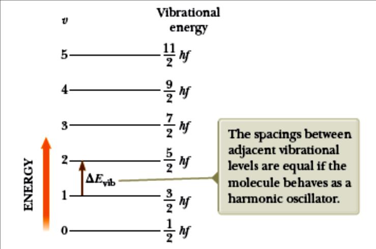 Στο παραπάνω σχήμα φαίνονται οι ενεργειακές στάθμες μορίου που συμπεριφέρεται ως αρμονικός ταλαντωτής.