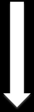 2016; 98: