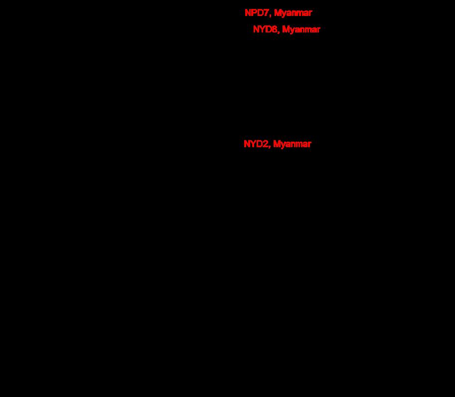 DNA Cytb Cytb melanocortin 1 receptor (Mc1r)NJ (4) FTA elute DNA 18S rrna PCR Trypanosoma ITS1 glyceraldehyde-3-phosphate dehydrogenase GARDH PCR PCR BLAST 5 18 4 150