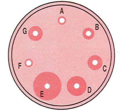 Square of the ring diameter Αξιολόγηση αποτελεσμάτων Για το τελικό σημείο της διάχυσης ισχύει ότι η συγκέντρωση του αντιγόνου είναι ανάλογη προς το εμβαδόν του κύκλου του ιζήματος.