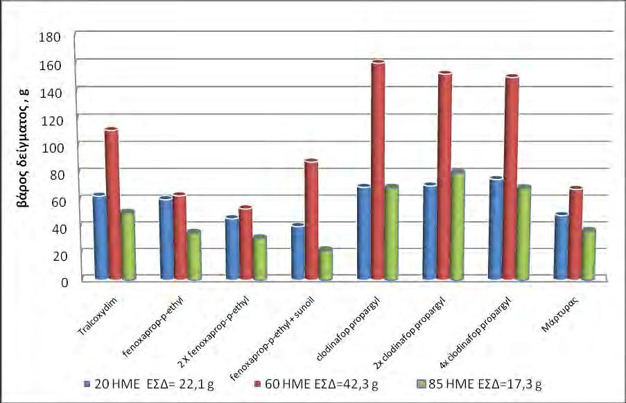 παρεμβάλλεται το μέσο βάρος των τεμαχίων που δέχθηκαν επέμβαση με tralkoxydim με 50.5 γραμμάρια (Σχ.3). Σημειώνεται ότι το βάρος των φυτών της καλλιέργειας σχετίζεται με τον έλεγχο της αγριόβρωμης.