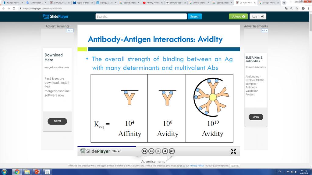 Συνάφεια (Avidity) The total strength with which an antibody molecule binds