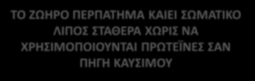 ΣΑΘΕΡΑ ΧΩΡΙ ΝΑ
