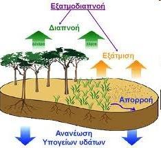 ΠΑΝΕΠΙΣΤΗΜΙΟ ΔΥΤΙΚΗΣ