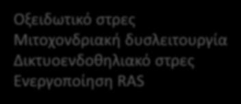 Μιτοχονδριακή δυσλειτουργία Δικτυοενδοθηλιακό στρες Ενεργοποίηση RAS ΦΛΕΓΜΟΝΗ Παχυσαρκία Αλλαγές στο μεταβολικό