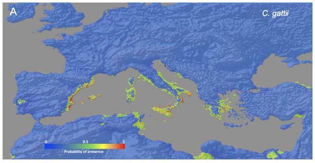 Η κατανομή του C.gattii μπορεί να προβλεφθεί με μεγάλη πιθανότητα στη Νότιο Ευρώπη: Ισπανία, Ν.
