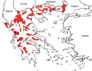 Στην Ελλάδα υπάρχει σε όλη την ηπειρωτική χωρά και σε ορισμένα νησιά (Κέρκυρα, Λευκάδα, Εύβοια, Λέσβο, ενώ υπάρχουν και παλαιότερες καταγραφές για παρουσία του είδους και στη Χίο).