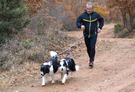 20 // KATOIKIΔΙΑ Canicross: Τρέχω με τον σκύλο μου! Δημοσθένης Μουμιάδης H.Dip.