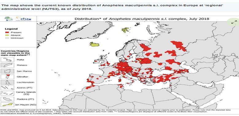 Συμπεράσματα Ο κίνδυνος της μετάδοσης ελονοσίας παραμένει σημαντικός : αυξημένες διεθνείς και διηπειρωτικές ανταλλαγές πληθυσμών πολλαπλασιασμός αντίστασης παρασίτων γεωγραφικής επέκτασης των φορέων