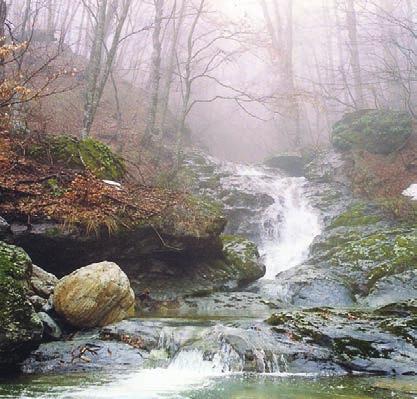 Με επιμήκυνση του χρόνου υλοτομίας των ώριμων ατόμων Σε αντίθεση με τα νεαρά δασικά άτομα, τα οποία συγκρατούν και διαπνέουν μεγάλες ποσότητες νερού, τα ώριμα προς υλοτομία διαπνέουν πολύ μικρότερες