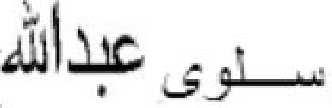 20.5.2019 L 132/43 Ονοματεπώνυμο Στοιχεία ταυτοποίησης Λόγοι Ημερομηνία καταχώρισης 225. Maamoun (άλλως Ma'moun) Hamdan Έτος γέννησης: 1958 Τόπος γέννησης: Δαμασκός Υπουργός Οικονομικών.