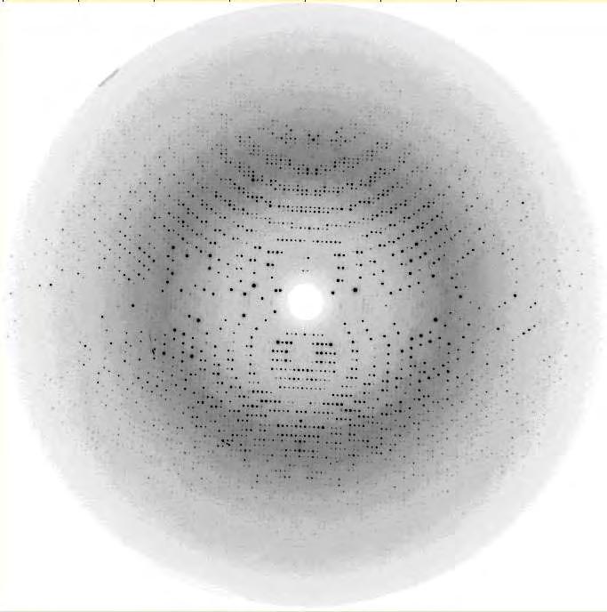Εικόνα 15 η : Παράδειγμα περιθλασιγράμματος. Το συγκεκριμένο περιθλασίγραμμα προέκυψε από περίθλαση ακτινών Χ κρυστάλλου της φωσφορυλάσης του γλυκογόνου εμποτισμένου με έναν αναστολέα του ενζύμου. 5.