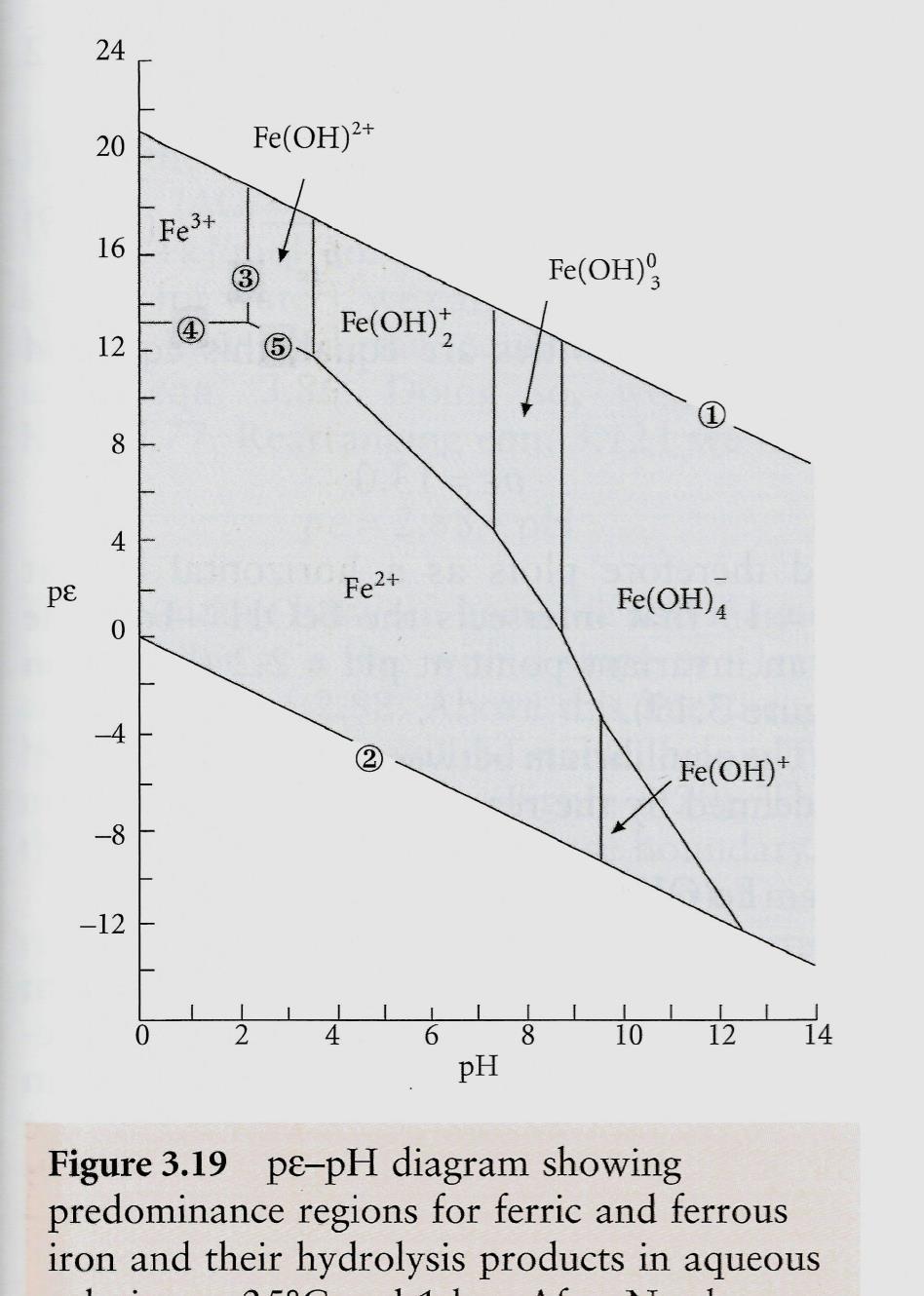 Διαγράμματα p E ph Μοιάζουν με διαγράμματα φάσεων, αλλά είναι διαγράμματα ενεργότητας.