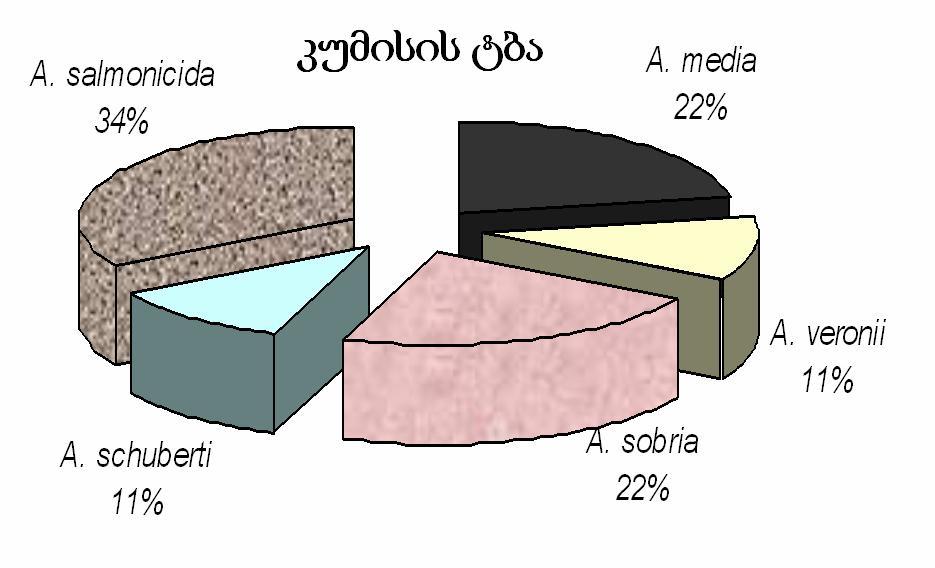 a b grafiki 7.