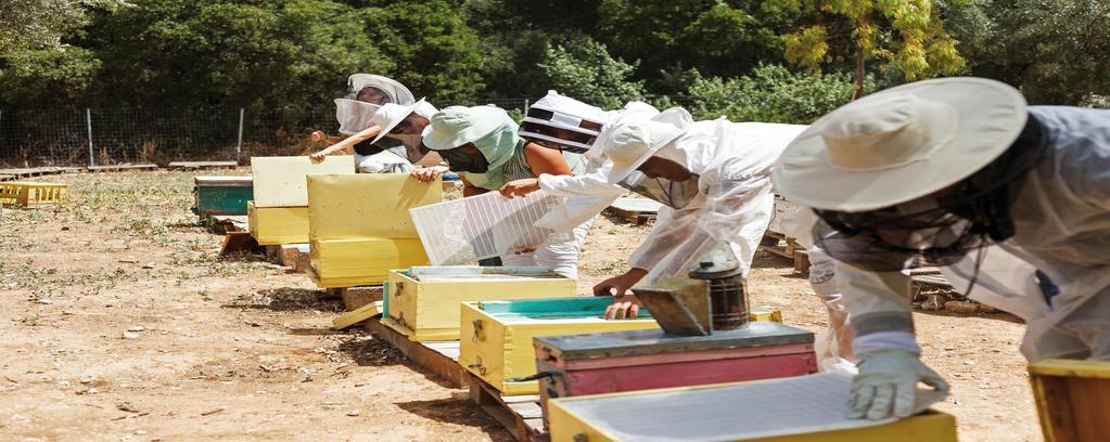 Η μελισσοκομία στο ΙΓΕ σήμερα Ένα από τα πιο δημοφιλή σεμινάρια του Ι.Γ.Ε., με μεγάλο αριθμό συμμετοχών, είναι αυτό της Μελισσοκομίας.