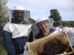 Πιστοποίηση Τεχνίτη Μελισσοκομίας Η συνολική βαθμολογία θεωρείται επιτυχής όταν ο υποψήφιος έχει ολοκληρώσει επιτυχώς τη θεωρητική και πρακτική εξέταση Εντός
