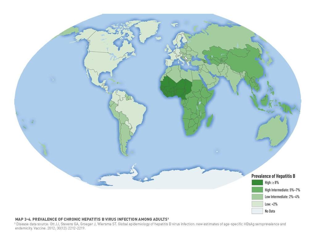 Global HBV