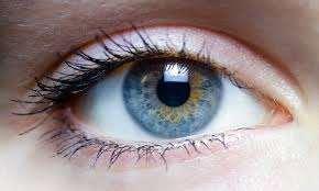 Συνολικά, ως οπτικό ισοδύναμο του οφθαλμού μπορεί να θεωρηθεί ένα σύστημα παχύ φακού που αποτελείται από τον