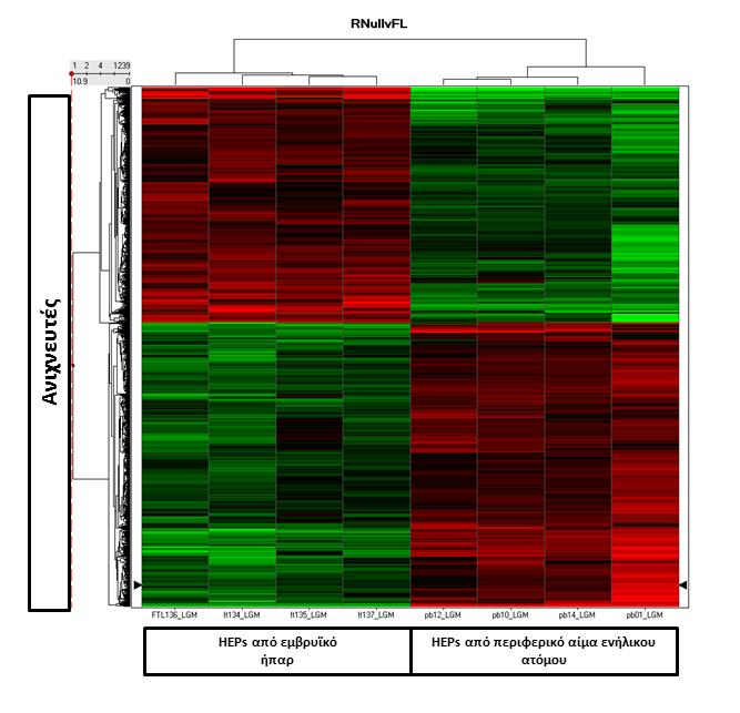 Εικόνα 24: Χρωμοδιάγραμμα διαφορικής έκφρασης γονιδίων μεταξύ HEPs περιφερικού αίματος ενήλικου ατόμου και HEPs εμβρυϊκού ήπατος.