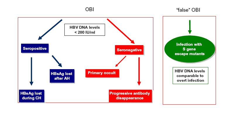 5 HBVDNA<200 IU/ml Οροθετική