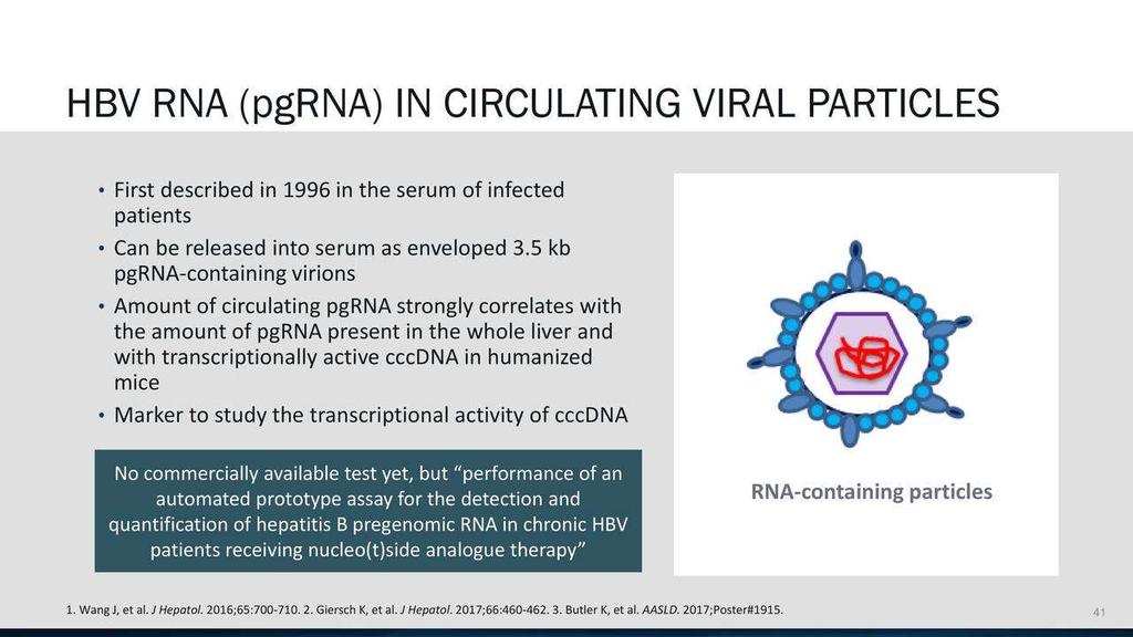 HBVRNA (pgrna) σε ιϊκά