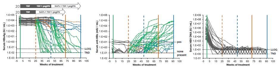 REP 401: Antiviral Activity of First-line NAP Treatment HBsAg Anti-HBs HBV DNA HBsAg decline o < 1 log 10 : 4/40 o > 1 log 10 but < 1 IU/mL: 8/40 HBsAg < 1 IU/mL: 28/40 HBsAg loss: 24/40 Anti-HBs