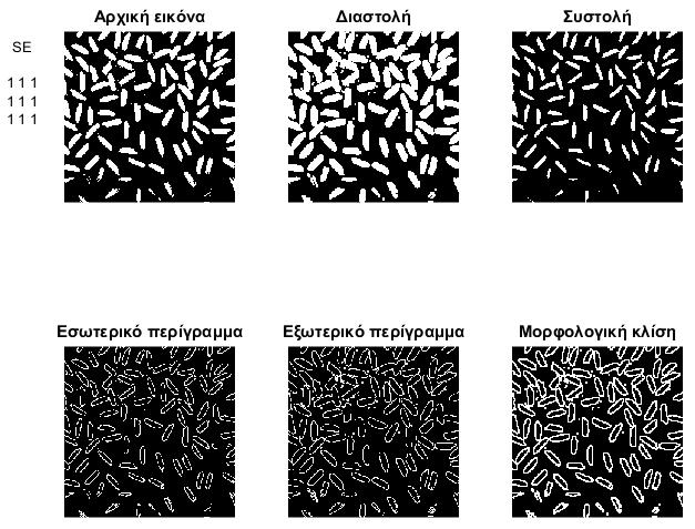 Βασικοί αλγόριθμοι Εξαγωγή