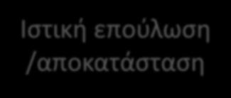 /αποκατάσταση
