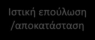 /αποκατάσταση