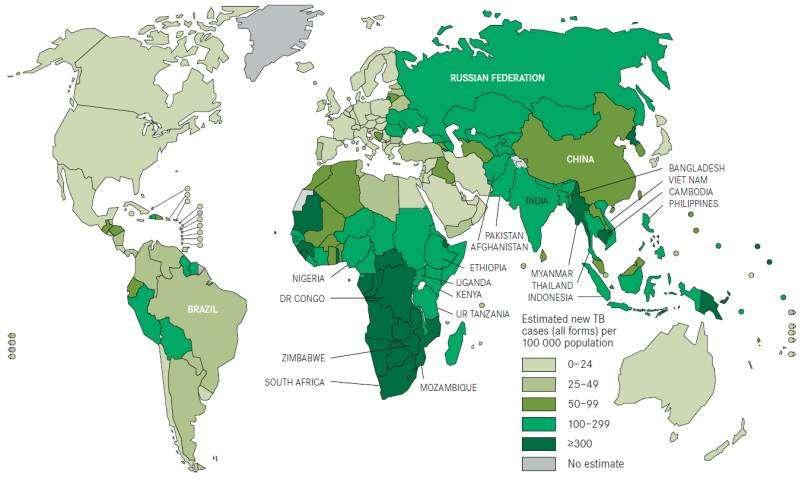 Estimated TB incidence