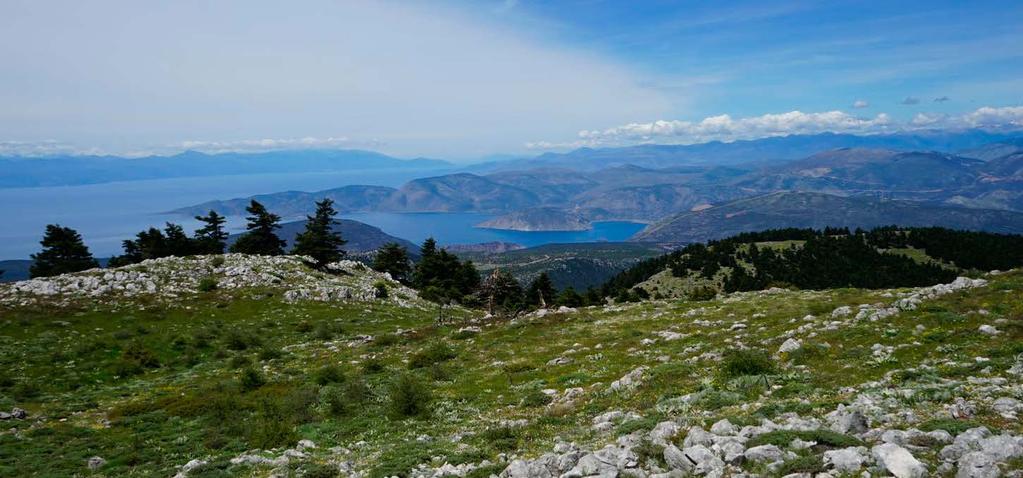 Ζερίκι-Μεγάλη Λούτσα Κορυφή Καψαλά Εκδρομή 1803 Ημερήσια πεζοπορική Κυριακή 13 Οκτωβρίου 2019 Ζερίκι στο Βουνό των Μουσών.