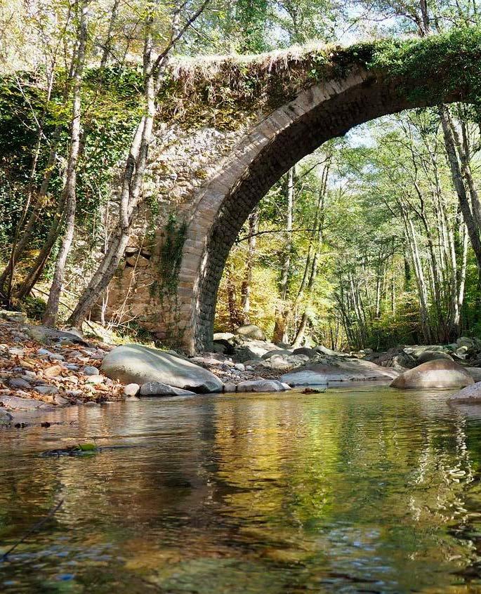 Παρασκευή 25 Οκτωβρίου στις 4μ.μ Αναχώρηση από Ν. Ιωνία το απόγευμα, στις 4 μ.μ, για το Παρανέστι Δράμας με ενδιάμεσες στάσεις. Άφιξη αργά, κοντά στα μεσάνυχτα και τακτοποίηση στο ξενοδοχείο μας.