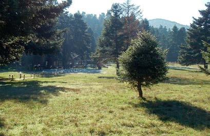 Σας περιμένουμε για μια μονοήμερη απόδραση από την τρέλα της πόλης. Θα Βρεθούμε, στις δυτικές πλαγιές του όρους Ελικώνα, στο Κυριάκι Βοιωτίας.