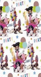 68,5cm_Animals 38624 38624 38624 38625 38625 38625 nton