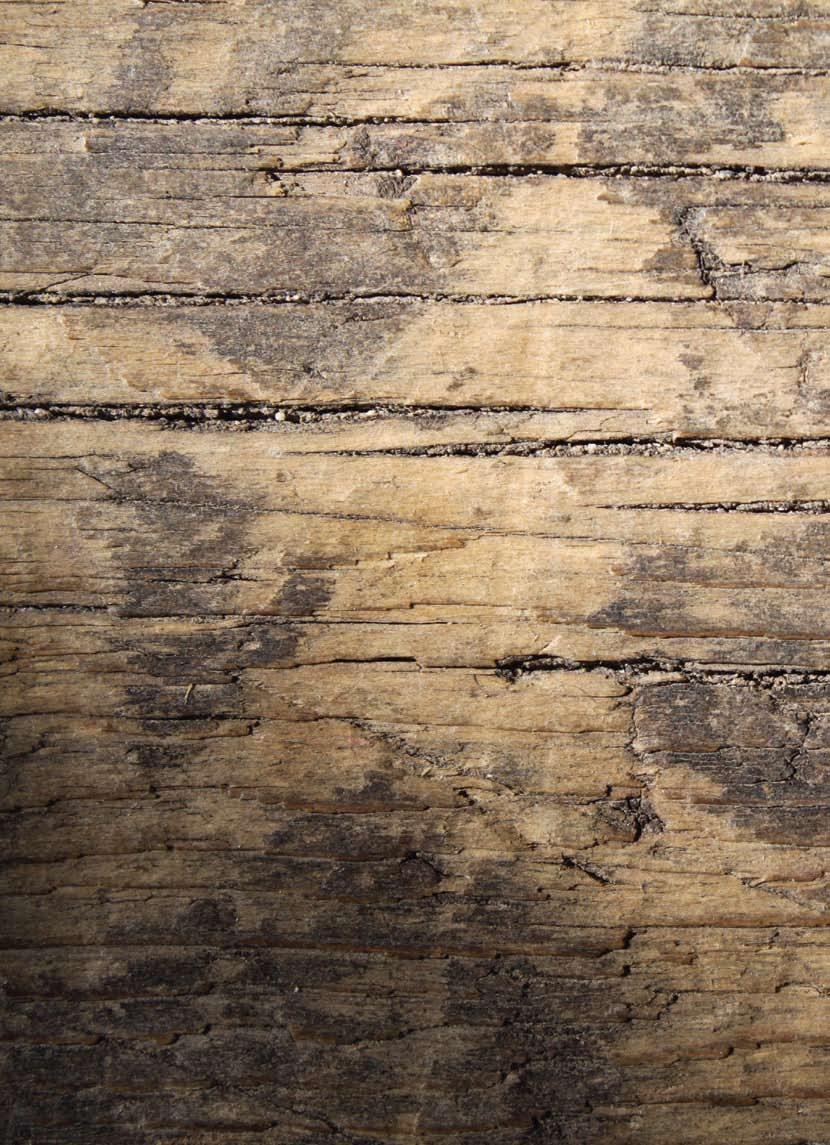 Wrapping Paper 200 x 70cm