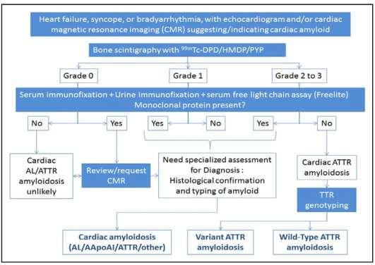 Nonbiopsy Diagnosis of