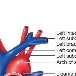 Note that portions of the