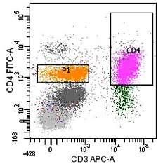 CD3, βλέπουμε ότι είναι κύτταρα με πολύ ψηλό SSC